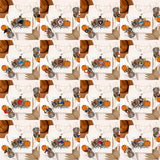 Fall and football bundle PNG