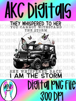 DFD I am the storm PNG