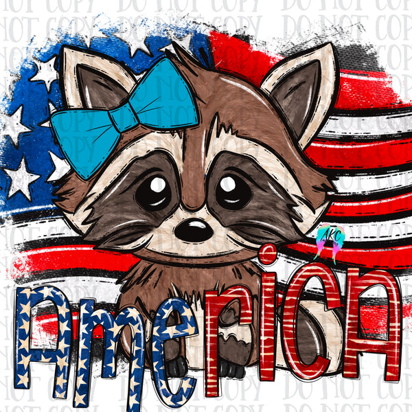 American raccoon PNG