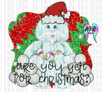 Are you yeti PNG