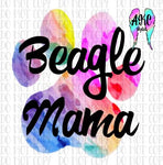 Beagle mama PNG