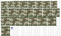 Camo school bundle PNG