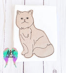 Cat applique 2023