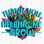 Succulent grow PNG