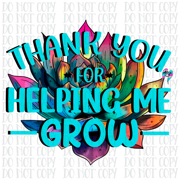 Succulent grow PNG