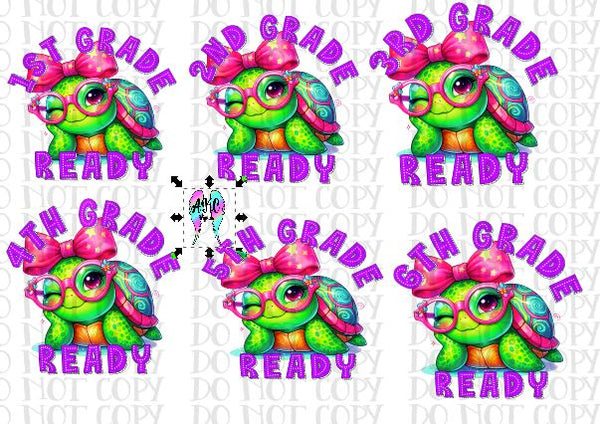Turtle school ready bundle PNG