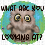 What are you looking at PNG