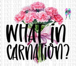 What in carnation PNG